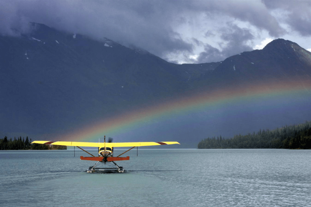 LAKE RENEGADE SYLLABUS
