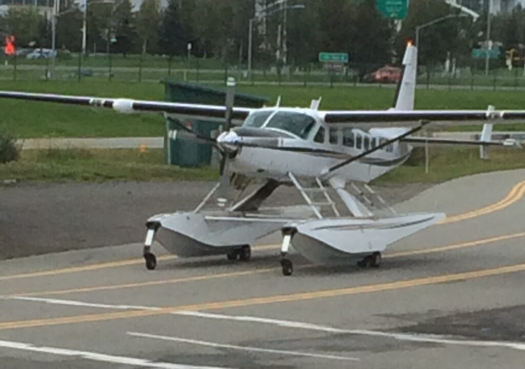 otter taxiing at lake